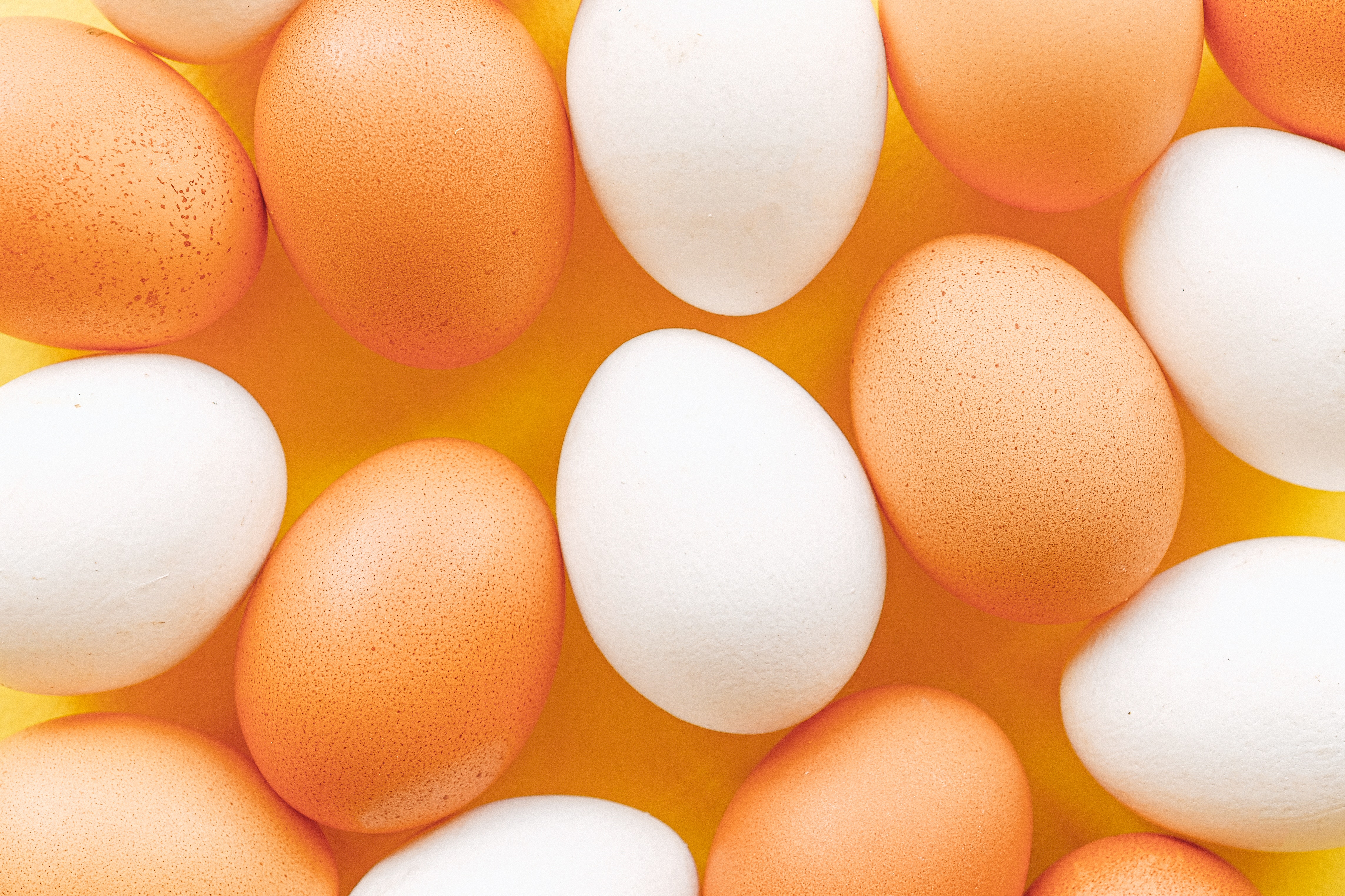 Obsessie mode wond Eieren bewaren: in of buiten de koelkast? - MyDailyLifestyle